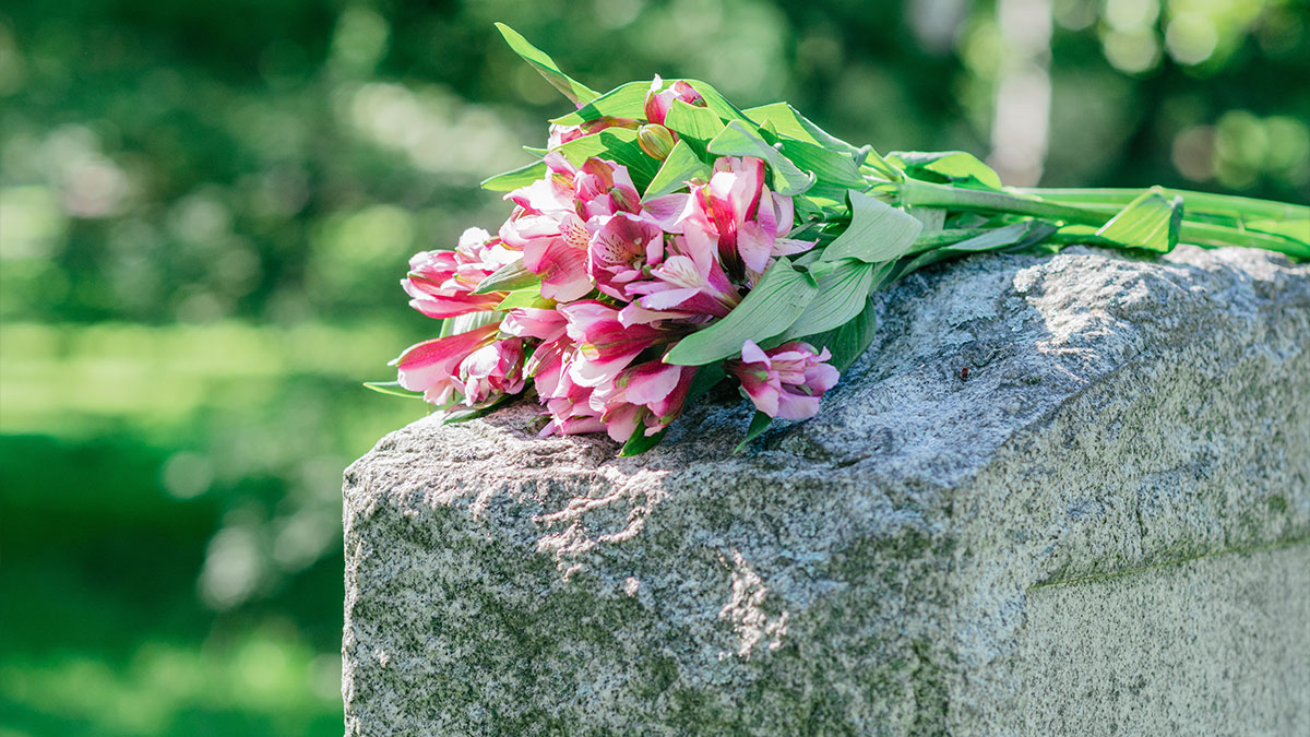 Close up of pink flowers laying on top of a gravestone at a cemetary